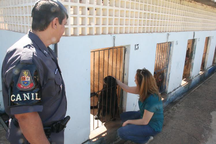 Polícia Militar inova com cães especiais na busca por desaparecidos, diz Juliana Damus