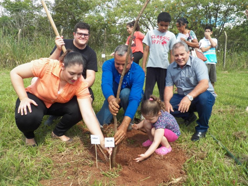 Comunidade realiza plantio de árvores no Parque Pinheirinho
