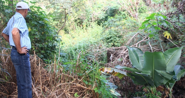 Chediek vê perigo em córrego e descaso com o meio ambiente no Jardim Brasil