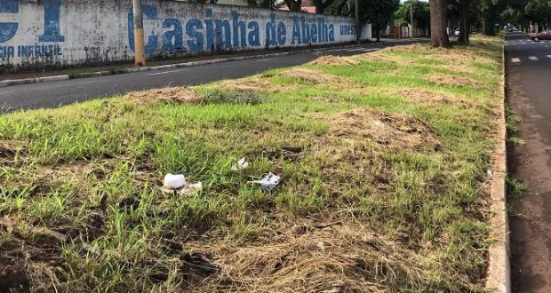Canteiro central da Castro Alves e Praça do Santana recebem roçada e limpeza