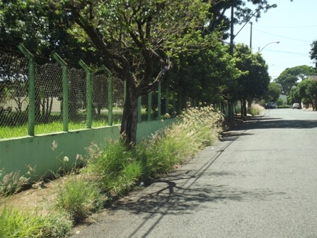 Adilson Vital pede capinação e limpeza no  entorno de escola e do bairro do Melhado