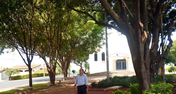 Poda em árvores é feita após pedido de Adilson Vital