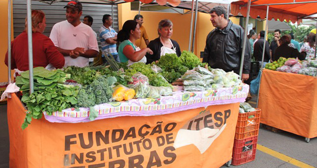 Vereadores participam de lançamento do Programa Negócio do Campo