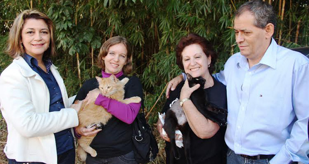 Instalação do Santuário dos Gatos no Pinheirinho será concluída em 15 dias