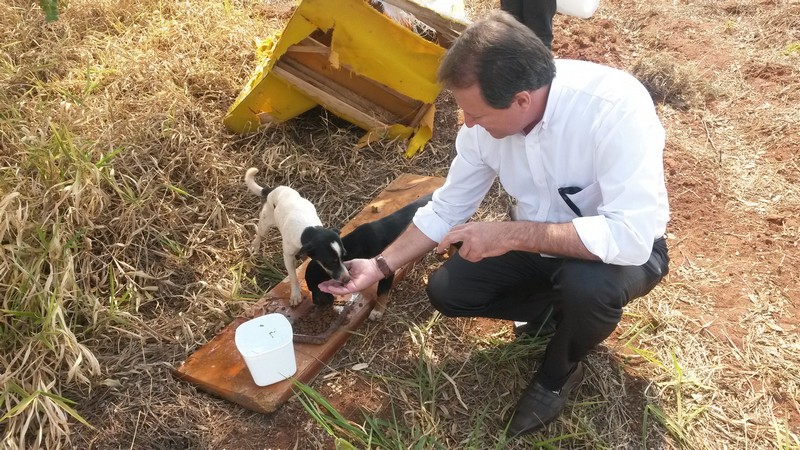 Vereador verifica mais um caso de abandono de animais