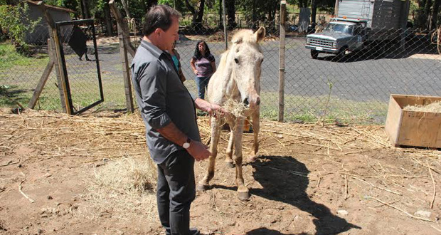 William Affonso visita Centro de Triagem Animal no Pinheirinho