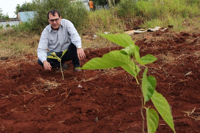 Gerson da Farmácia faz plantio de mudas em área no Campus Ville