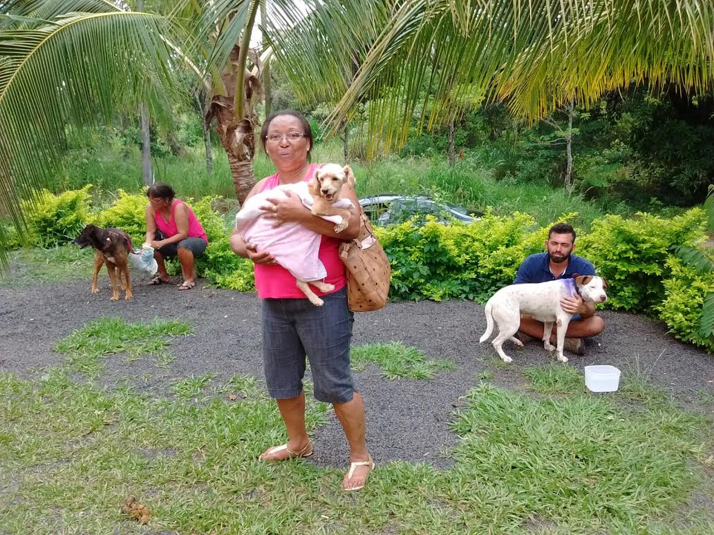 Ambulatório Veterinário do Pinheirinho: um ano salvando vidas