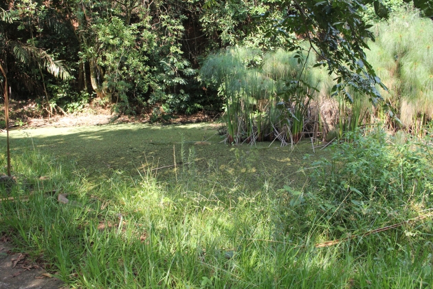 Em abandono, situação do Parque do Basalto é questionada por vereadores do PSDB