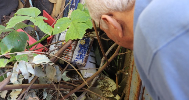 Prefeitura e Câmara intensificam ações de combate à dengue