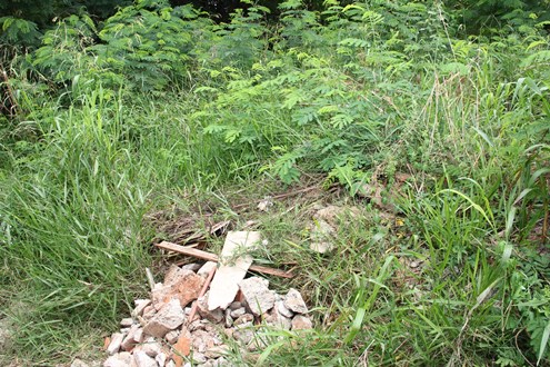 Descaso com meio ambiente prejudica moradores do Santa Júlia