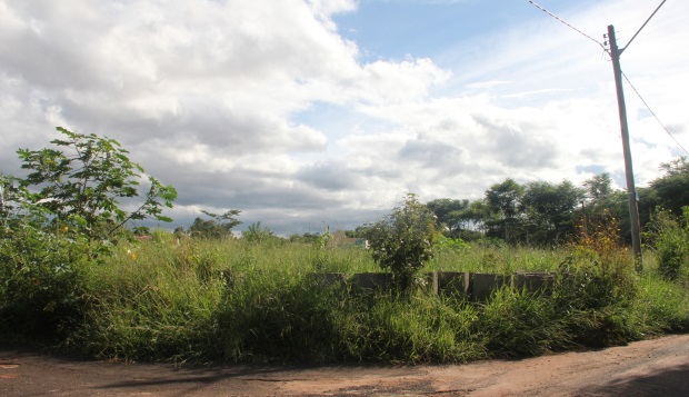 Terrenos do Jardim Maria Luiza III requerem limpeza urgente